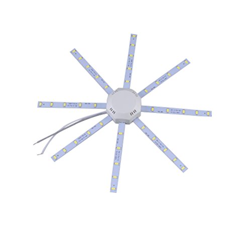 LEDMOMO 8 LED Lámpara Foco de Techo Luz de Plafón de Acrílico...