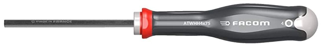 Facom Hexagon Screwdriver