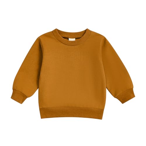 Toddler Boy Girl Sweatshirt Solid Color Long Sleeve Crew Neck Pullover Tops