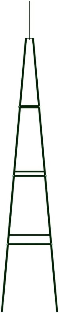 vidaXL Garden Climbing Plant Racks 2 pcs - Train Your Climbing Roses, Passion Flowers - Easy Assembly - Weather-Resistant Iron Construction - Dark Green Color - 13.8"x13.8"x76.8" Dimensions