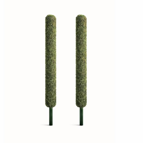CosaCentrum Moss Stick for Plants – 5 Feet Coir Pole Support for Climbing Indoor Plants, Money Plant, Monstera, Creepers & Pothos – Extendable Garden Support Stick for Home Gardening Pack of 2