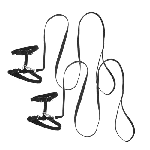 ibasenice 2 Pack Kitten Harness Leash Set Adjustable Nylon Cat Walking Harness Pressure Redistribution for Outdoor Use