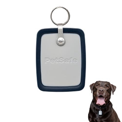 PetSafe SmartDoor Connected Pet Door Collar Key, Large, ZAC19-17682 - image 1