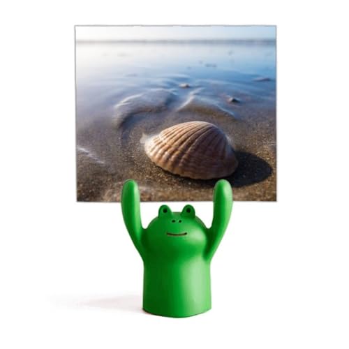 Porte-mémo coquillage de l'océan pour une décoration de table marine