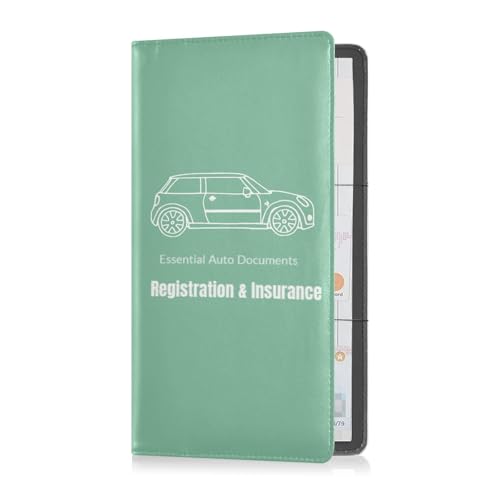 Organizador para auto cuero compacto