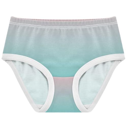 Blush Pink Turquoise Gradient Little Girl Panties Toddler Girls Underwear Cotton Animal Underpants Briefs 2t