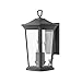 Hinkley Bromley Collection Two Light 4W LED Small Wall Mount Lantern, Museum Black