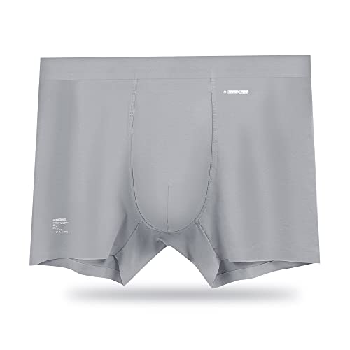 ABananaCover Premium Men's Naked Feeling Air Micro Modal Boxer Briefs - Superior To Cotton Underwear - 3X Softer Than Cotton - 3' Snug-Fit Athleisure Mens Underwear Trunks - Molybdenum Grey, Medium