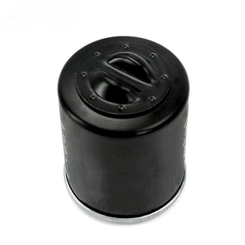 Filtre à huile moto filtration haute performance pour Hyosung GV300S