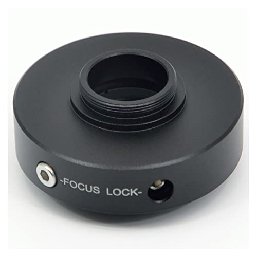 {pANZT[ 0.35{C-}EgA_v^[A_v^[