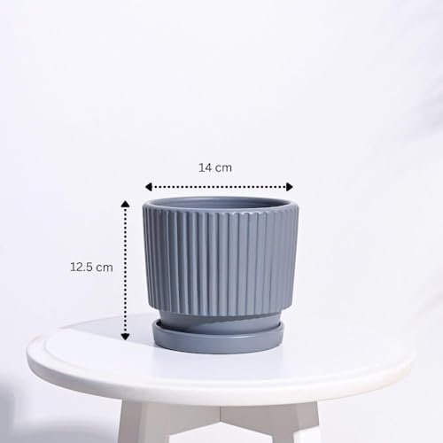 Image of UGAOO Roma Ceramic Pot |Indoor Ceramic Planter for Home, Office, Garden, Balcony - Gray (5 Inch)