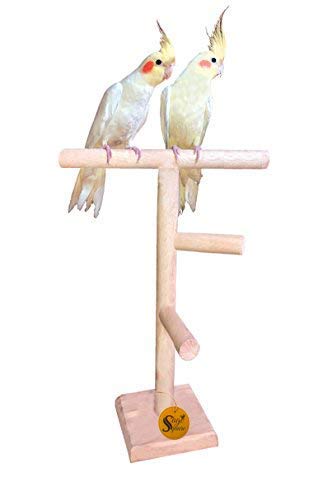 See full amazon price history chart for Sage Square 13Inches / 33cm Natural Wood Training Cum Exercise 2 Stairs Playful Perch Bird Stand/Bird Toy Sage Square 13Inches / 33cm Natural Wood Training Cum Exercise 2 Stairs Playful Perch Bird Stand/Bird Toy (B07V5HD1KL) Amazon Price History, Amazon Price Tracker