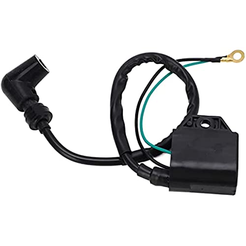 Bobine d'allumage hors-bord étanche et résistante aux chocs pour moteur 2 temps