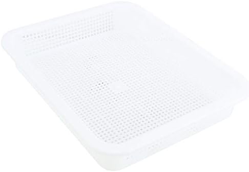 DasMarine Seed Sprouter Tray with Lid,2 Pack Seed Germination Tray BPA Free Nursery Tray for Seedling Planting Great for Garden Home Office