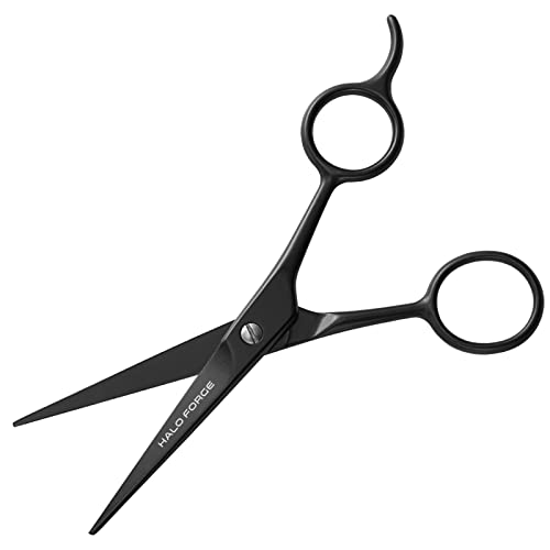 Halo Forge Professional Mustache & Beard Scissors: Small Sharp Stainless Steel Beard Shears For Men Personal Care Precision Trimming Mustache, Facial Hair, Eyebrow, 5.5 Inch (Black) #TOP1