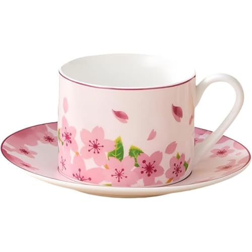 KuBen Z~bNJbvZbg Be[Wԕ eEJv`[mE~NɍœK LOEaENX}XMtgɂ҂ Mtg{bNXtHZbg \[T[t R[q[JbvEeB[Jbvp (sN,2_Zbg)