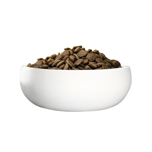 Green Petfood InsectDog Hypoallergen mit Insekten (3 x 3 kg) | Adult | Premium Trockenfutter für ausgewachsene allergische Hunde | getreidefrei | nachhaliges Hundefutter | German Quality | 3er Pack