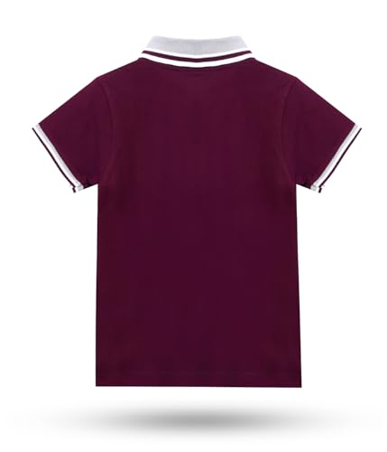Image of Kids Boys Cotton Polo T-Shirt | Regular Fit Collar Tee (2-16 Years) | Multi-Colour Variants