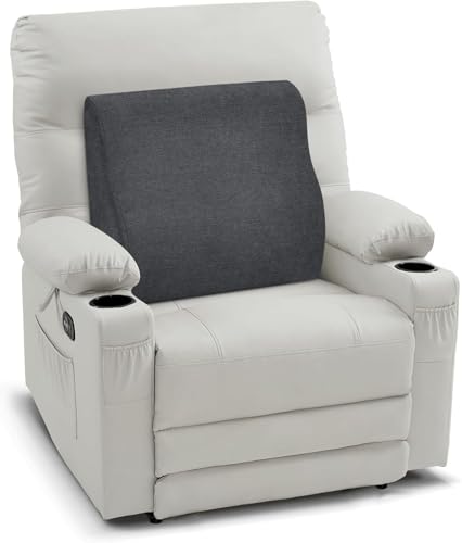 TANYOO Rückenkissen Lendenwirbelstütze für Sofa, Autositz, Rollstuhl Lendenwirbelkissen für Menschen unteren Rückenschmerzen mit Memory Schaum Ergonomisches Lendenkissen Waschbarer Bezug Dunkelgrau