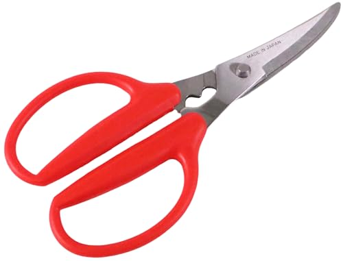 쏊 Lb`͂ J[un Jj`L { 185mm y͂ŃVpbƐ؂ ׂɂ 肪ɂȂɂ I    XeX  bh Lb`΂ 084038