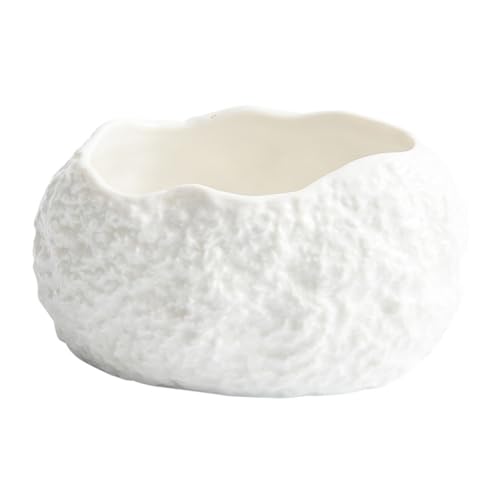 BIUDECO Ciotola Ceramica Irregolare Stile Roccia Per Snack e Dessert Per Frutta Antipasti e Presentazioni Eleganti Casa e Durante Eventi