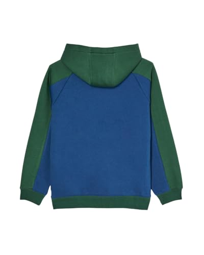 Sweat capuche Quiksilver bleu garçon 8-16 ans