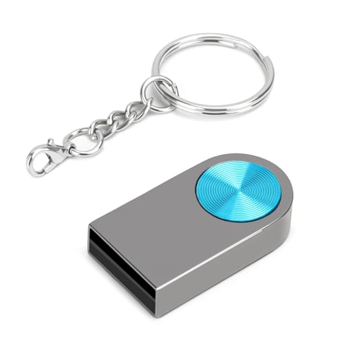 LEIZHAN Unità flash USB 3.0, mini unità flash USB