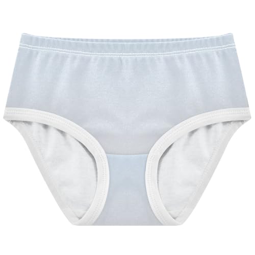 Joisal Toddler Underwear Floral 2t Cotton Panties Little Girl Bright Briefs Underpants Ombre Gainsboro Gradient - Main Image