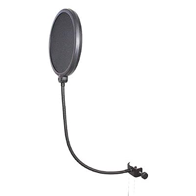 sE Electronics X1 A Large-Diaphragm Condenser Microphone Bundle with Pop Screen Filter
