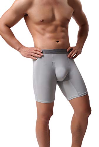 WINDAY Men's Briefs Breathable Ice Silk Sports-Inspired Underwear Boxer Briefs B19-23