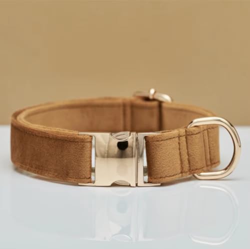 Elegantes Hundehalsband aus Samt mit Goldener Metallschnalle- Hochwertig, bequem & verstellbar- Edles Design in Mehreren Farben & Größen (23- 60 cm) (Hellbraun, L = Umfang 36- 60cm)