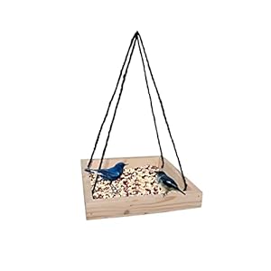 Ram© Wooden Wood Wild Bird Feeding Tray Hanging Bird Seed Feeder Trays 25CM
