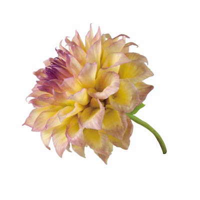 PADICO AIR Dry Modena White Clay 60 GM - Image 6