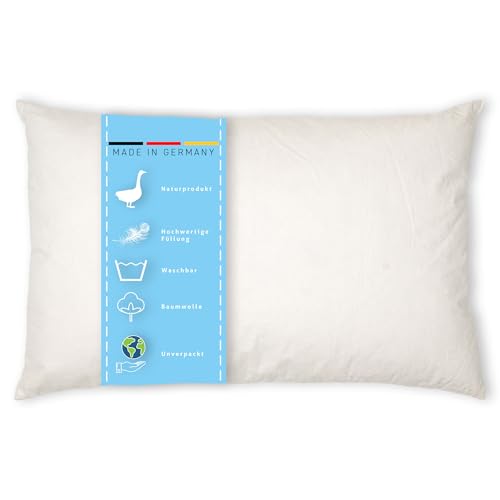 Kissenoutlet24 Federkissen 50x90cm Füllung 1150g Bezug Baumwolle Farbe Creme Made in Germany