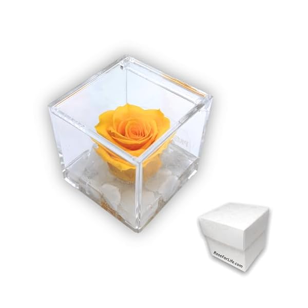 PREMIUM ROSE - Cubo Rosa Stabilizzata Gialla 5 cm con Marmo di Carrara - Rosa Eterna Stabilizzata Made in Italy - Idea per Amici, Colleghi e Bomboniere - Giallo A 1053