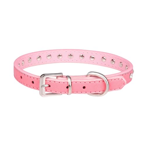 KGDUYC Collare per Cane in Pelle, Collari per Cani e Gatti, in Pelle Sintetica con Strass, Simpatico Collare per Cuccioli Collare in Pelle Scamosciata Lucida con Diamanti con guinzaglio (Rosa, M)