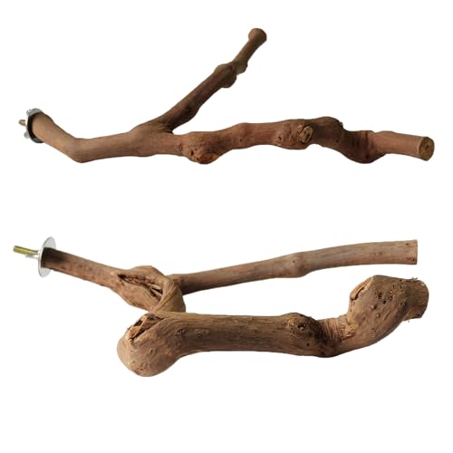 Molyorch 2 Pezzi Trespolo Posatoio Supporti, Arrampicata in Piedi Uccelli, Posatoi Uccelli Legno, Posatoi in Legno Pappagalli, per Pappagallo di Pelle di Tigre, il Macao, Accessori Canari