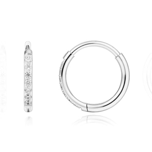 Limerencia Titanium Hoop Earrings for Women Hypoallergenic G23 Implant Grade Pure Titanium Huggie Lightweight Hoop Earrings for Women Men Sensitive Ears (10mm CZ Silver)