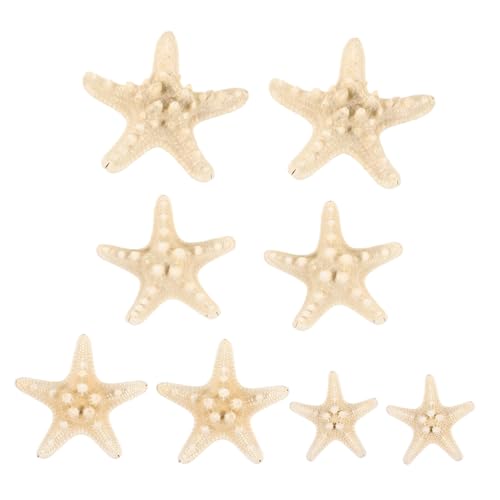 UKCOCO 8 Piezas Adornos De Estrella De Pan Decoración del Acuario Animales Marinos Adorno Decorativo De Estrella De Mar Decoraciones Junto Al Mar Figuras De Estrellas De Mar Caparazón