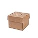 BIOZOYG 100x Burger-Box con Tapa Plegable I Bio cartón compostables Embalaje para Hamburguesa cartón Kraft con Agujero I Estable para Embalaje To Go cartón marrón 13x13x10cm, Cuadrado