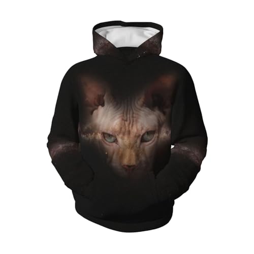 Hairless Cats And The Galaxy Boy, Girls Sports Shirt Youth Pullover Fashion Hooded Sweatshirt4