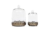 12' Tall Large Sturdy Handmade Glass Cloche Dome with Metal Base 11.4' H x 8' and 8' H x 5.5' in Set of 2 in Gold for Plant, Terrarium, Collectibles, Candle. Cloche Glass Dome, Bell Jar Display Case