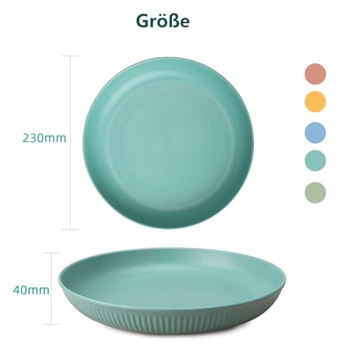 HQCM 5 Stück Wiederverwendbar Camping Teller, 23cm Großer Kompakter Hartplastik Teller​Tiefe Speiseteller Unzerbrechlich Picknickteller Set Mikrowelle Spülmaschinenfest für Party Zuhause Reise, Bunte