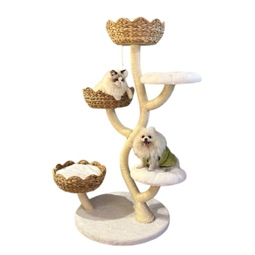 Kiwet _ȖؐLbgc[^[A^nbNtOWA[Rh~jAipLpj (zCg)