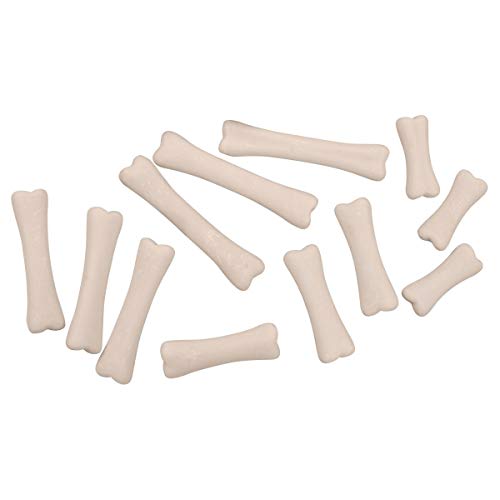 Yellow Door YUS1038 Dinosaur Bones Discovery Set (Pack of 12) image 5