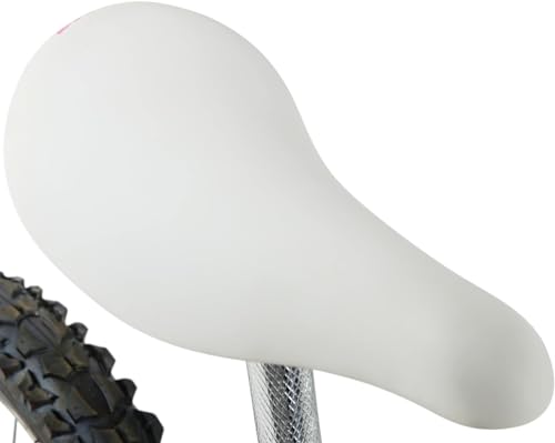 Image of Dynacraft Magna Sapphire Bike - Sturdy Steel Frame, Front and Rear Hand Brakes, Adjustable Seat, Kickstand - Ideal for Ages 6-10, Perfect for Outdoor Riding