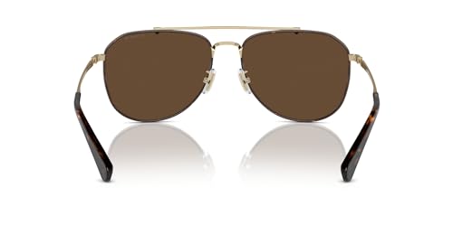 Coach Men's Hc7164 Aviator Sunglasses4