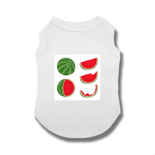 [XANPYO] ybg  ̕  tėp ėp  Ȑ VvR іh~ ybgEFA hbOEFA XXL   L p Lp o|  Ȃ Lm ^ ʋC ₩