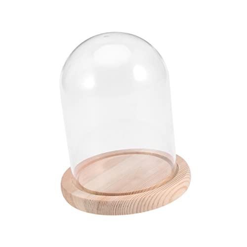 Cabilock Cúpula De Vidrio Flores Tapa Protectora Decorativa Ideal Para San Valentín