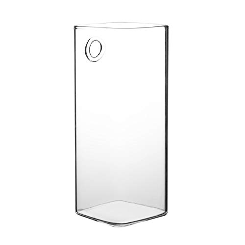 Kuuleyn Hanging Glass Vase for Plants and Flowers